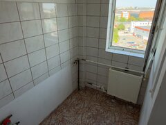 Berceni, Turnu Magurele